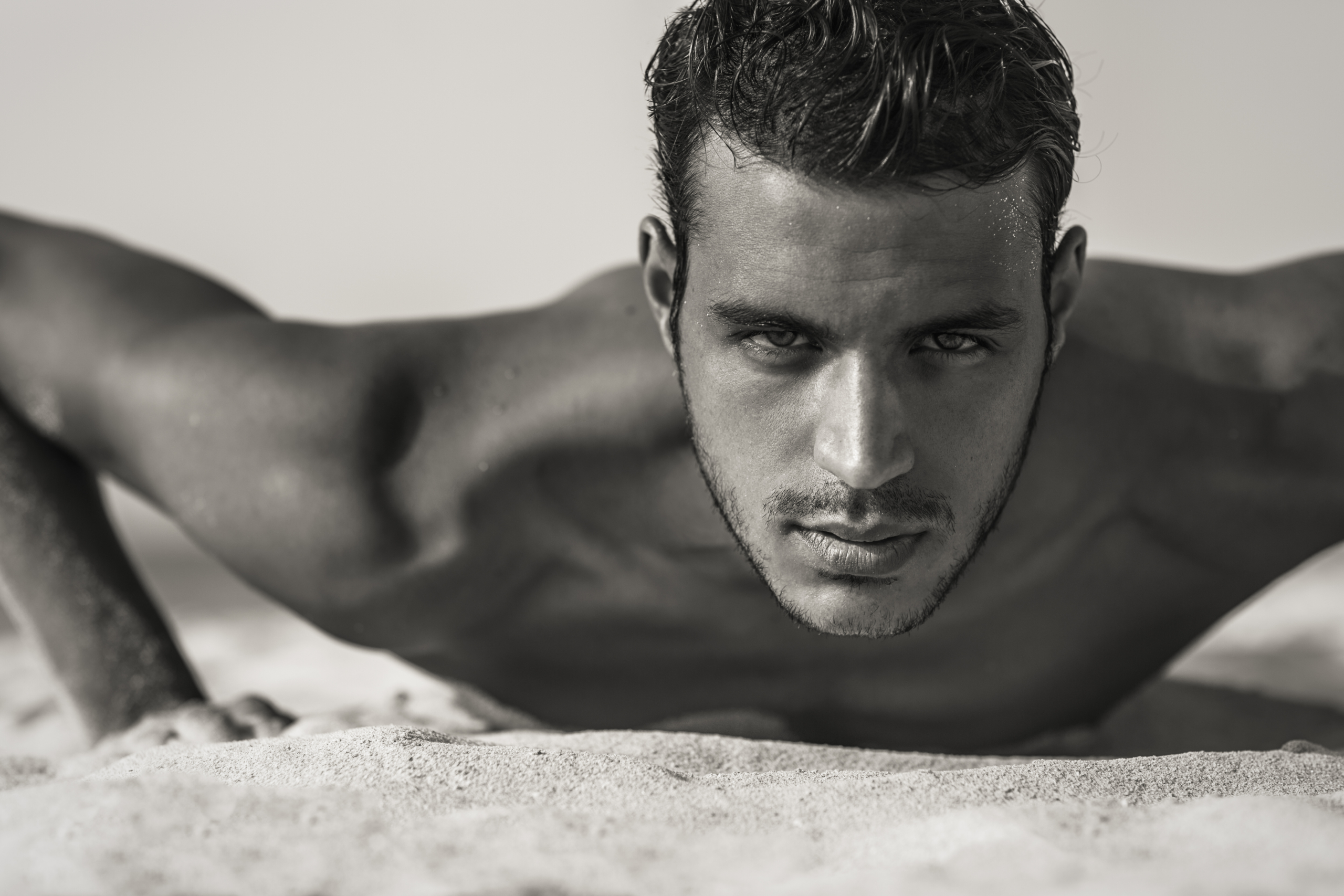 ¿Qué significa ser un lobo gay?