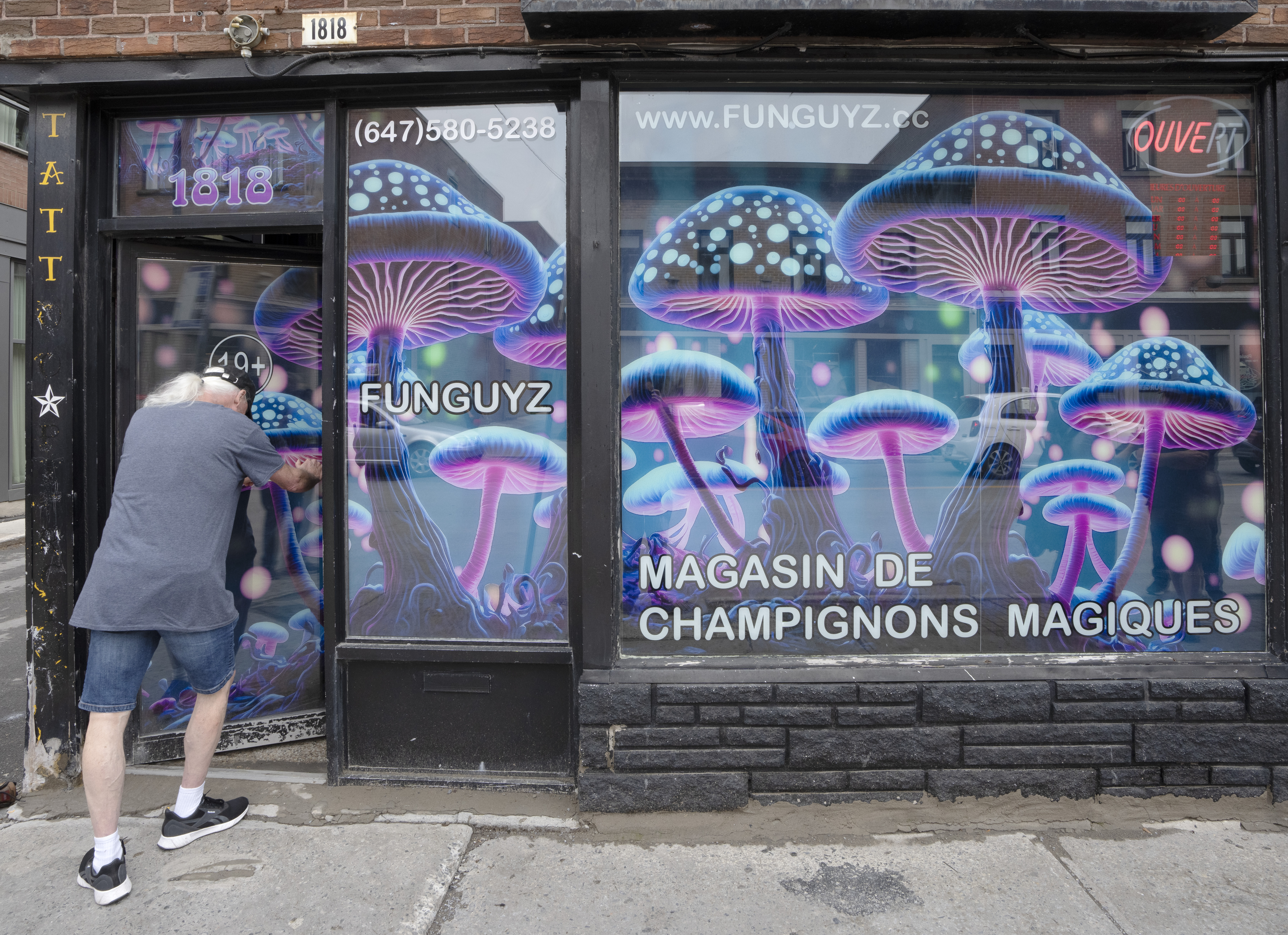 Por qué están abriendo tantas tiendas de "setas mágicas" en Canadá