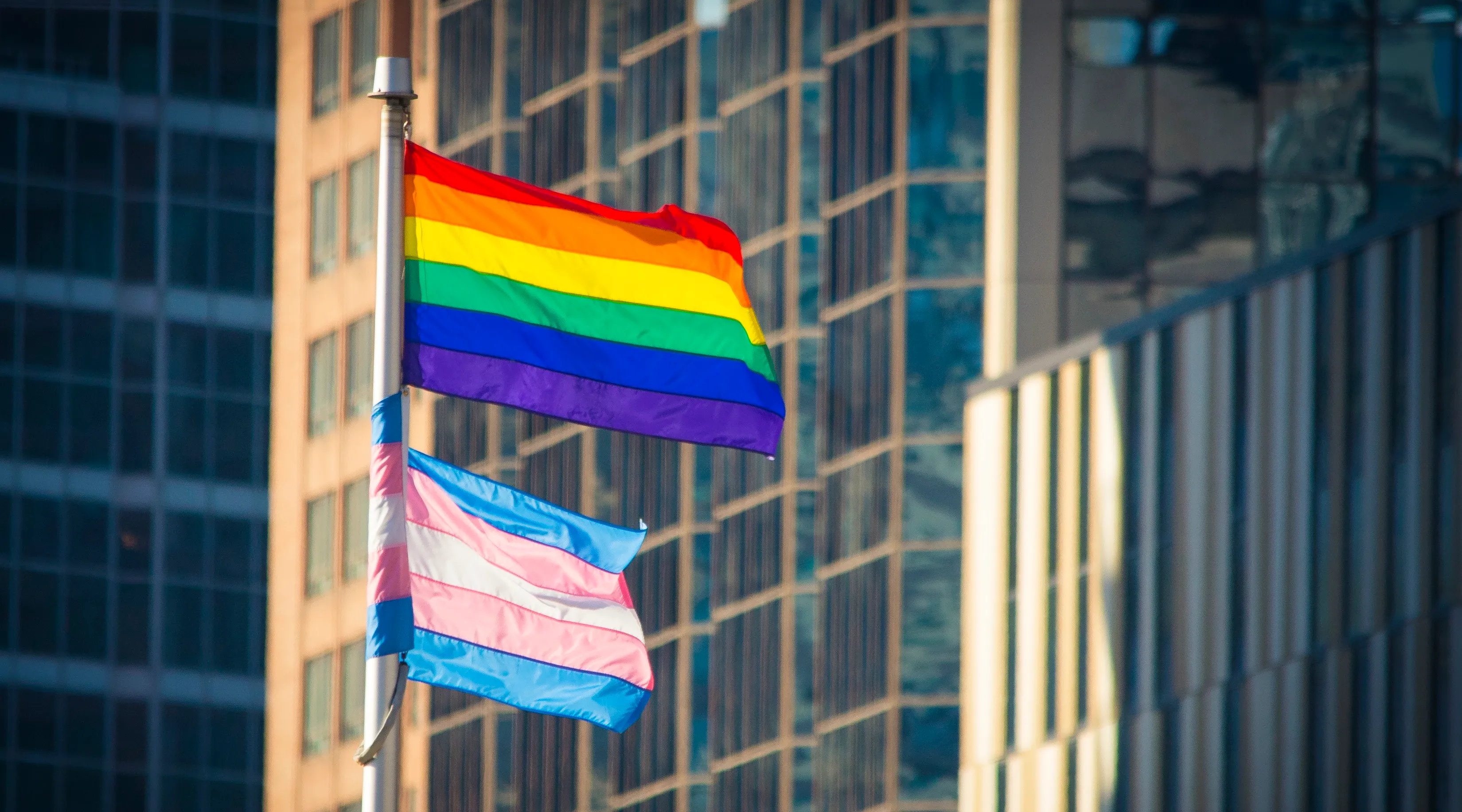 Introducir Más Protecciones para la Comunidad LGBTQ+