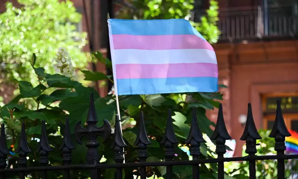 Trans Flag