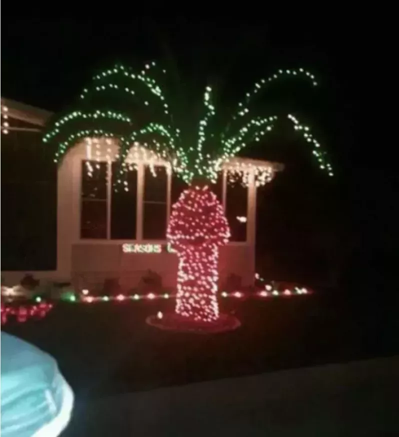 A front yard decorated in Christmas lights at nighttime. In the foreground, a palm tree sits with its base covered in red lights and its leaves covered in strands of green, resembling a phallus ejaculating.