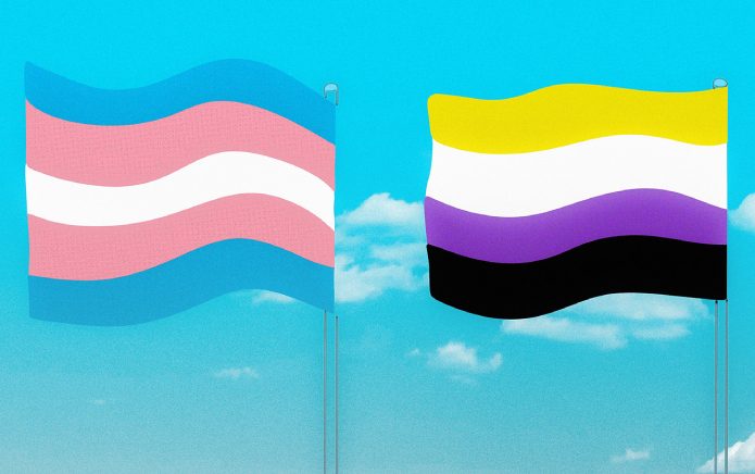 EE.UU. invierte casi 700.000 dólares en educación sexual para jóvenes trans masculinos