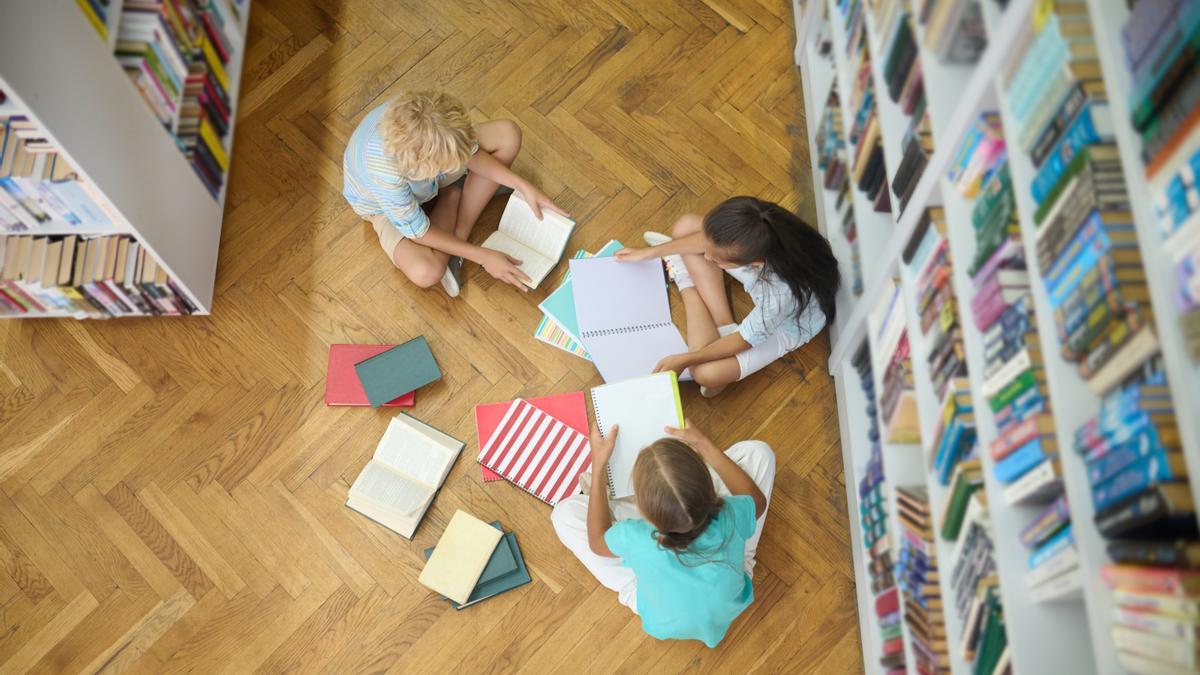 La indignación de los bibliotecarios de Valencia por el "golpe de estado" de PP y Vox de apartar los libros de diversidad sexual