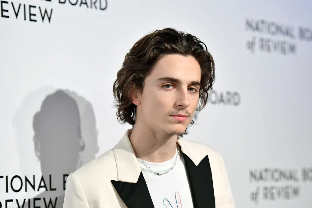 ¿Por qué Timothée Chalamet es considerado un icono bisexual?