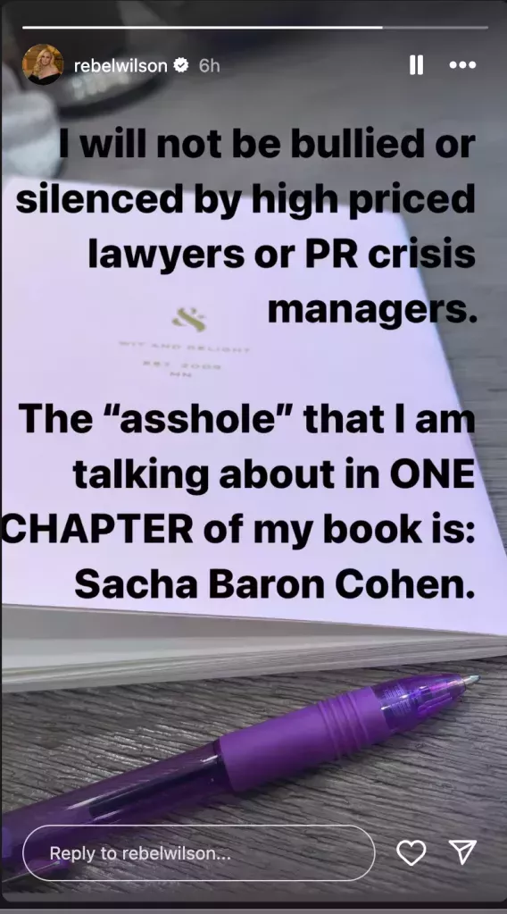 Rebel Wilson's Instagram Story. 