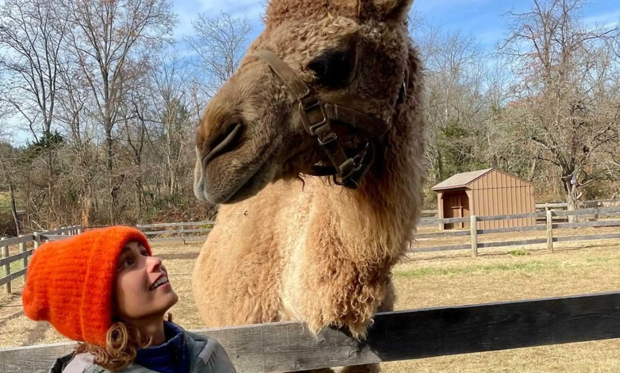 Una mujer dice que puede comunicarse telepáticamente con animales (homosexuales y heterosexuales), y tú también puedes hacerlo