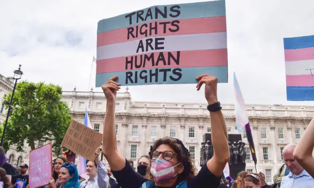 A protestor holds up a sign that reads "trans rights are human rights."