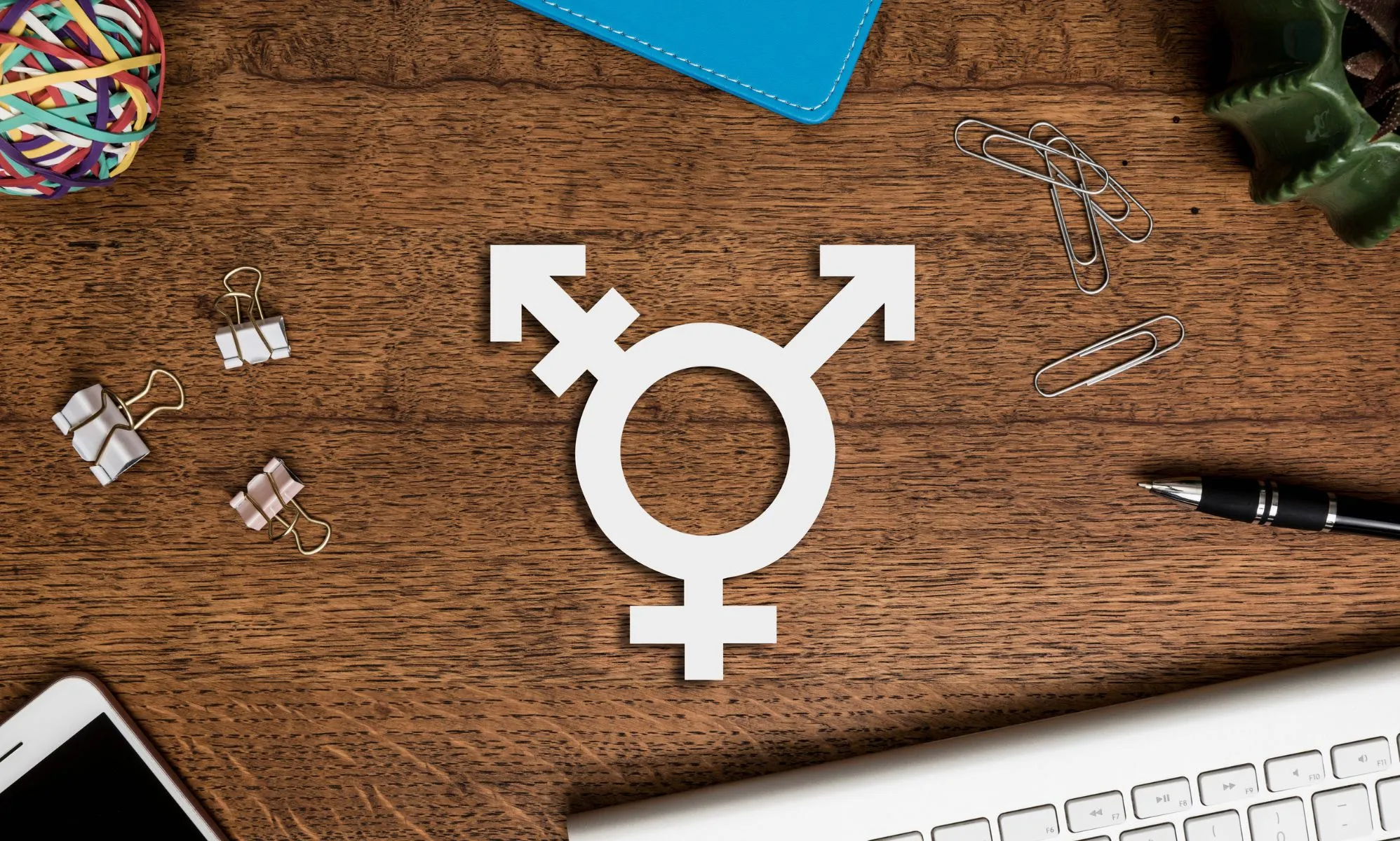 Semana de la Historia Trans+ 2024: Esta es la fascinante historia del origen del famoso símbolo transgénero