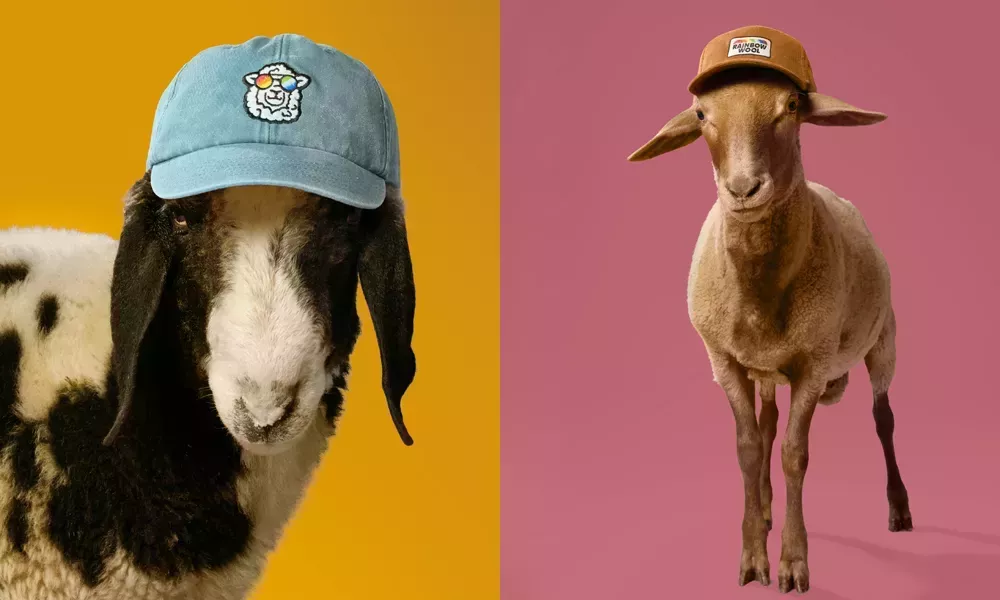 Apoyando al Primer Reba&ntilde;o de Ovejas Gays del Mundo con un 'Sponsorsheep'