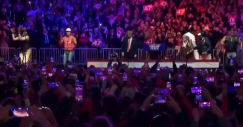 Y.M.C.A.: El recorrido de una canción que trascendió su origen