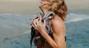 Madonna intentó matar al Pulpo Paul para que no le restara fama