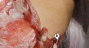 Cómo se hizo el vestido de carne de Lady Gaga