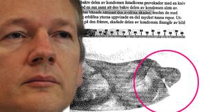 Publican imágenes del 'condón roto' de Julian Assange