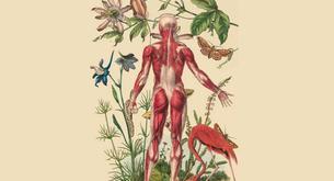 El inquietante poster de 'La Piel que Habito'