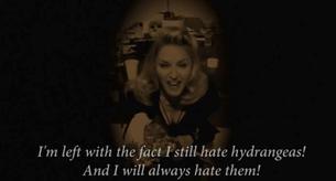 Madonna hace un vídeo sobre las hortensias