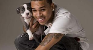 Chris Brown vende cachorros por 1000 dólares