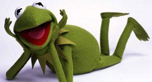 Un pastor evangélico pide pena de muerte para la rana Gustavo por seguir "la senda de la sodomía"