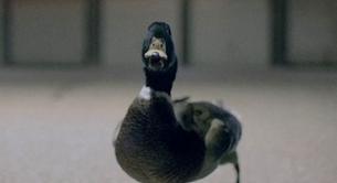 Britney y Will.I.Am pierden el número 1 en UK en favor de Bingo Players