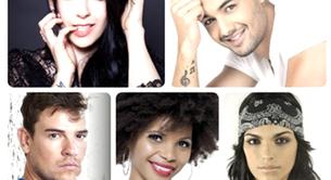 Preselección Eurovisión España 2014: los cantantes candidatos