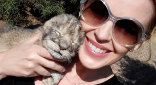 Kylie quiere adoptar un hijo