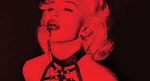 El hacker de Madonna se enfrenta a muchas causas