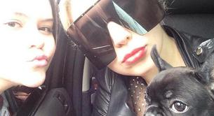 Lady Gaga diseñará ropa para perros