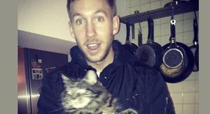 Calvin Harris estalla Internet con un vídeo del gato de Taylor Swift