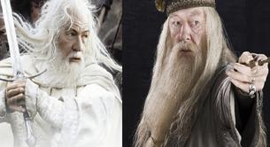 Dumbledore y Gandalf se casarán en frente de la Iglesia más homófoba de Estados Unidos