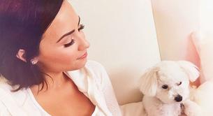 Demi Lovato llora la muerte de su perro