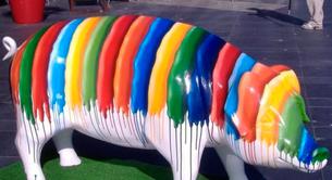 Habrá cocido gay en la Feria del cocido de Lalín