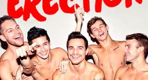 One Erection, la parodia porno gay de One Direction