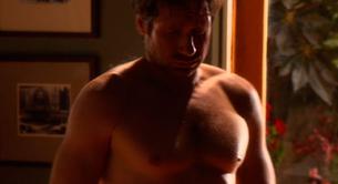 Las mejores fotos de David Duchovny desnudo