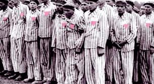 Triángulo rosa: la persecución gay de los nazis en el Holocausto