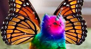 ¿Qué significa la A de LGBTA?