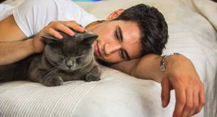 "Ayuda: su gato no me deja tener sexo gay con él"